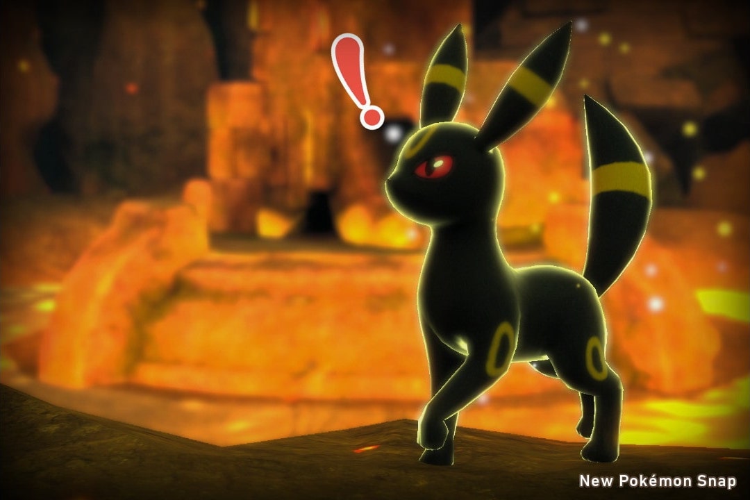An Umbreon standing upright with an alert expression.